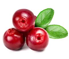 eastcoast vapor e-liquid cranberry 30mls