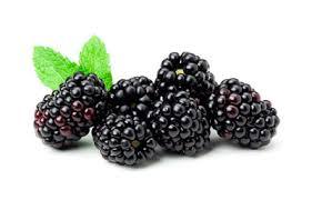 eastcoast vapor e-liquid blackberry salt-nicotine