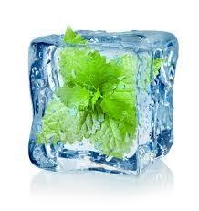 eastcoast vapor e-liquid cool mint burst salt-nicotine