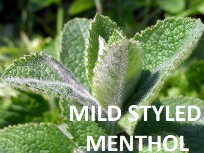 eastcoast vapor e-liquid mild styled menthol salt-nicotine
