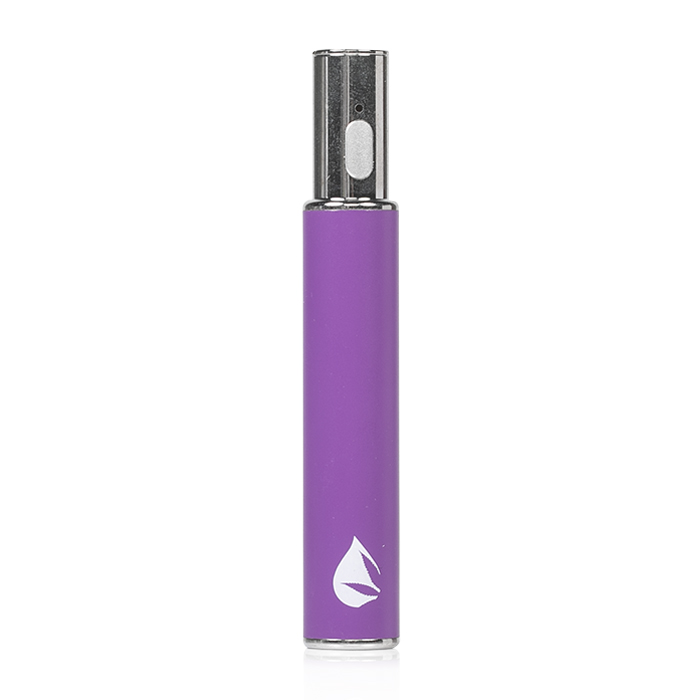 Leaf Buddi MAX III Battery