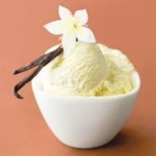 EastCoast Vapor E-Liquid Vanilla Bean Ice Cream Salt-Nicotine