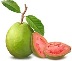 eastcoast vapor e-liquid guava 30mls