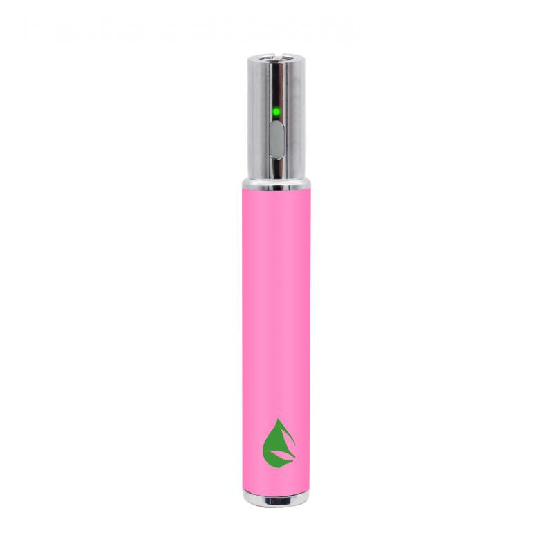 Leaf Buddi MAX III Battery