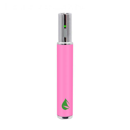 Leaf Buddi MAX III Battery