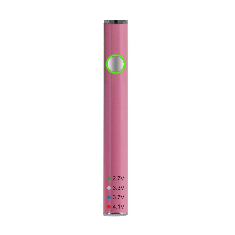 Leaf Buddi MAX II Battery