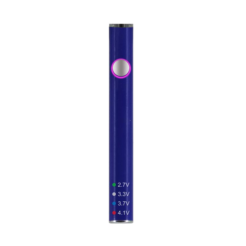 Leaf Buddi MAX II Battery