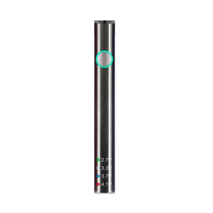 Leaf Buddi MAX II Battery