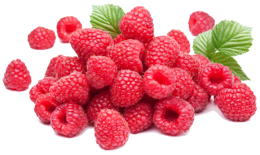 EastCoast Vapor E-Liquid Raspberry 120mls