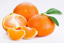 EastCoast Vapor E-Liquid Tangerine Salt-Nicotine