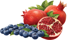eastcoast vapor e-liquid blueberry pomegranate 30mls