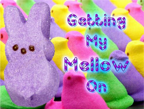 eastcoast vapor e-liquid marshmallow friends salt-nicotine